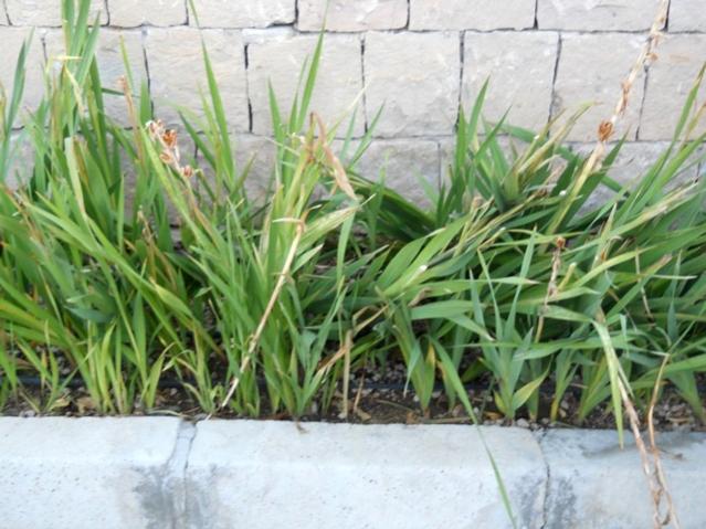 Name:  DSCN9045.jpg
Views: 567
Size:  55.3 KB