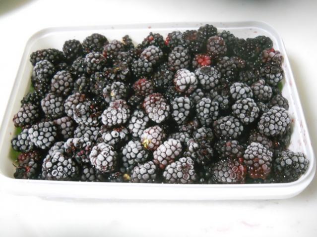 Name:  DSCN9088.jpg
Views: 562
Size:  49.8 KB