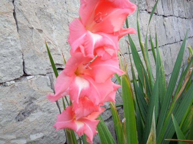 Name:  DSCN9110.jpg
Views: 1004
Size:  50.7 KB