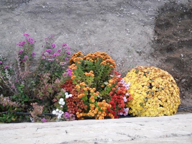 Name:  DSCN9121.jpg
Views: 1031
Size:  64.8 KB