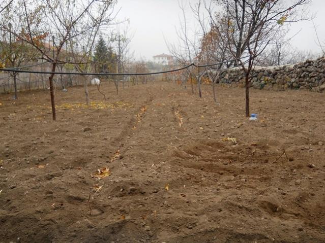 Name:  DSCN9156.jpg
Views: 951
Size:  65.3 KB
