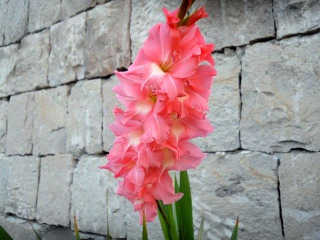 Name:  DSCN9200.jpg
Views: 896
Size:  46.8 KB