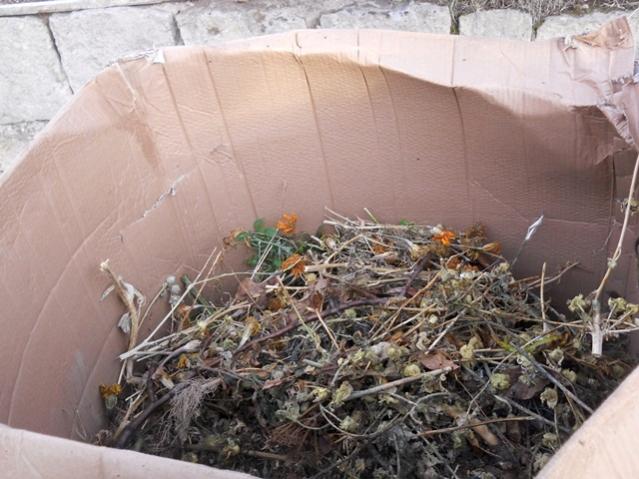 Name:  DSCN9259.jpg
Views: 1942
Size:  53.3 KB