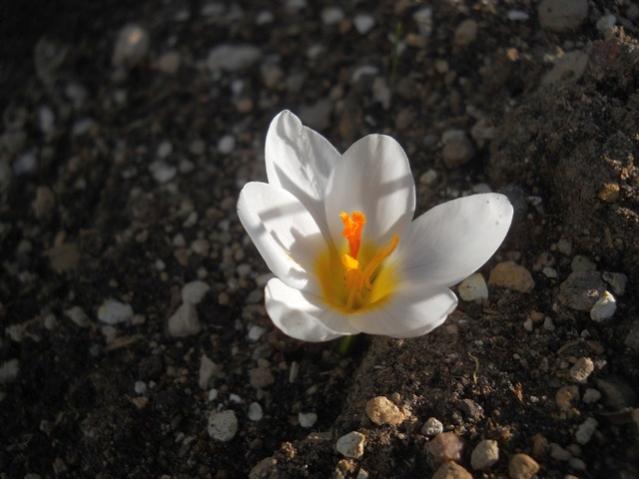 Name:  DSCN9894.jpg
Views: 1981
Size:  37.9 KB