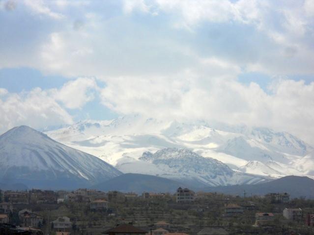 Name:  DSCN9959.jpg
Views: 1091
Size:  27.1 KB