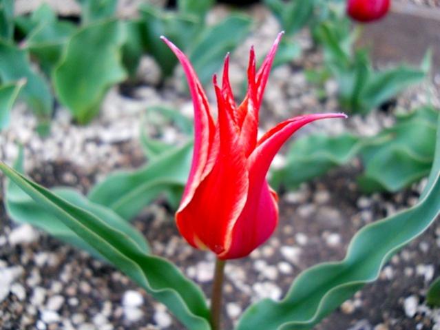 Name:  DSCN0030.jpg
Views: 1067
Size:  40.1 KB