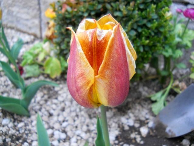 Name:  DSCN0037.jpg
Views: 1058
Size:  44.5 KB