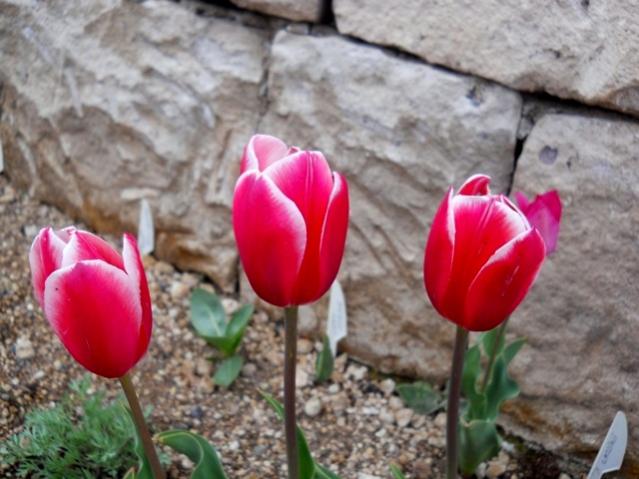 Name:  DSCN0001.jpg
Views: 1032
Size:  47.2 KB
