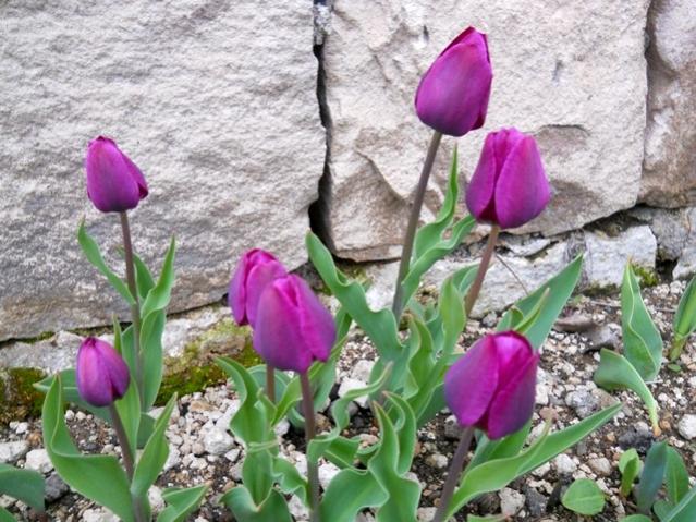 Name:  DSCN0021.jpg
Views: 1084
Size:  68.3 KB