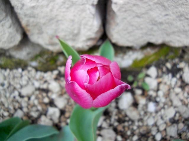Name:  DSCN0034.jpg
Views: 1037
Size:  35.4 KB