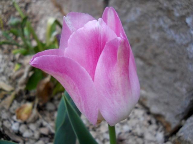 Name:  DSCN0038.jpg
Views: 1018
Size:  30.7 KB