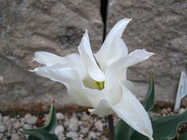 Name:  DSCN0044.jpg
Views: 1012
Size:  32.4 KB