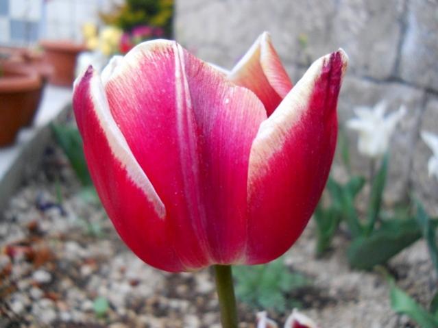 Name:  DSCN0042.jpg
Views: 1062
Size:  34.5 KB