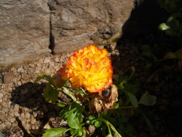 Name:  DSCN0101.jpg
Views: 924
Size:  45.1 KB