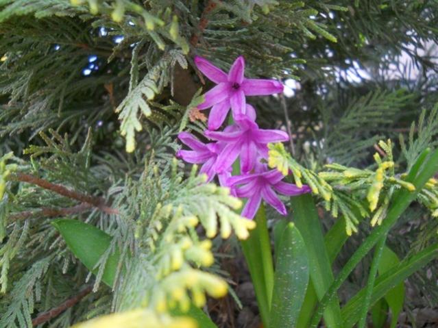 Name:  DSCN0152.jpg
Views: 876
Size:  57.4 KB