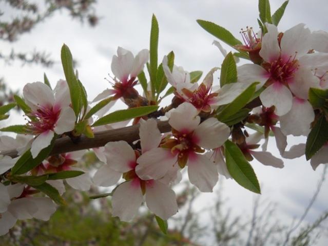 Name:  DSCN0196.jpg
Views: 1090
Size:  39.1 KB