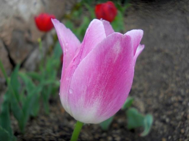Name:  DSCN0276.jpg
Views: 864
Size:  28.1 KB