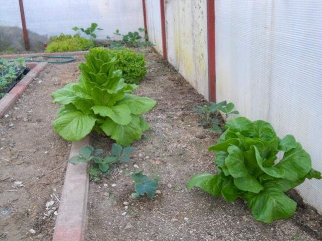 Name:  DSCN0282.jpg
Views: 1040
Size:  50.1 KB