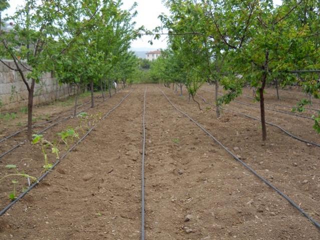 Name:  DSCN0596.jpg
Views: 1437
Size:  68.8 KB