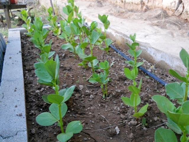 Name:  DSCN0748.jpg
Views: 2160
Size:  61.1 KB