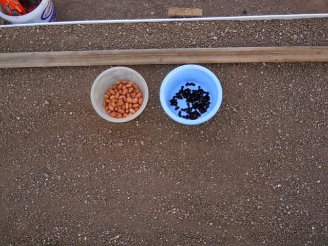 Name:  DSCN0801.jpg
Views: 2125
Size:  69.4 KB