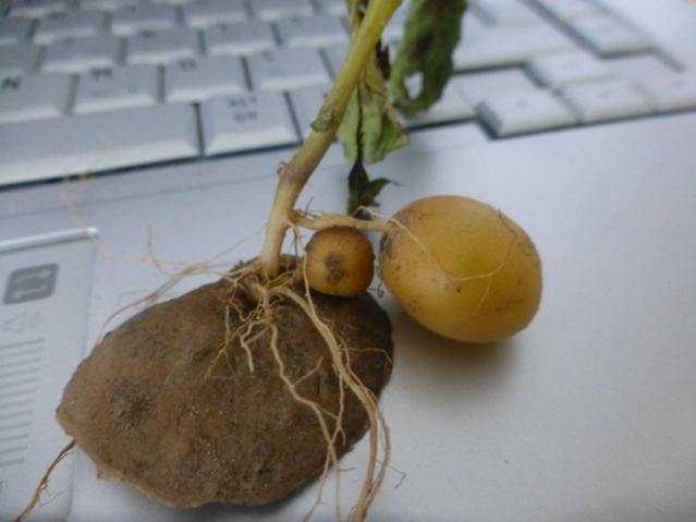 Name:  042.jpg
Views: 896
Size:  27.4 KB