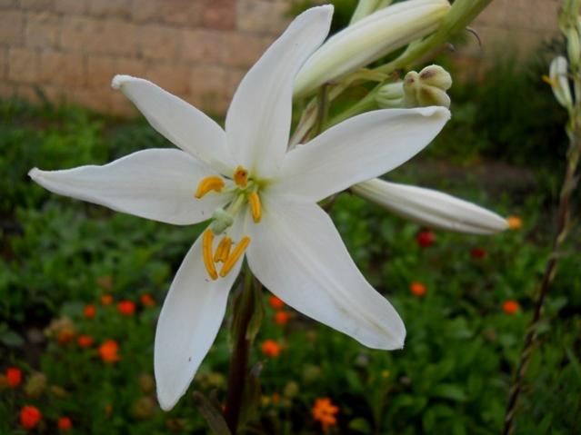 Name:  DSCN1068.jpg
Views: 1331
Size:  32.3 KB