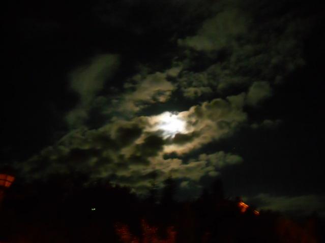 Name:  DSCN1157.jpg
Views: 1238
Size:  15.8 KB