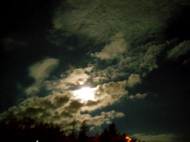 Name:  DSCN1158.jpg
Views: 1224
Size:  24.3 KB
