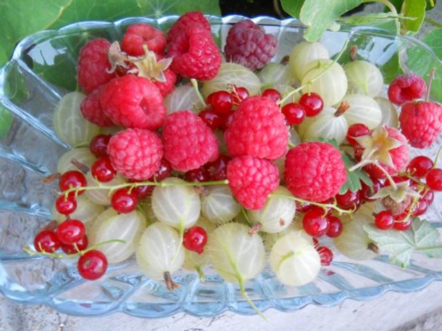 Name:  DSCN1317.jpg
Views: 1180
Size:  54.6 KB