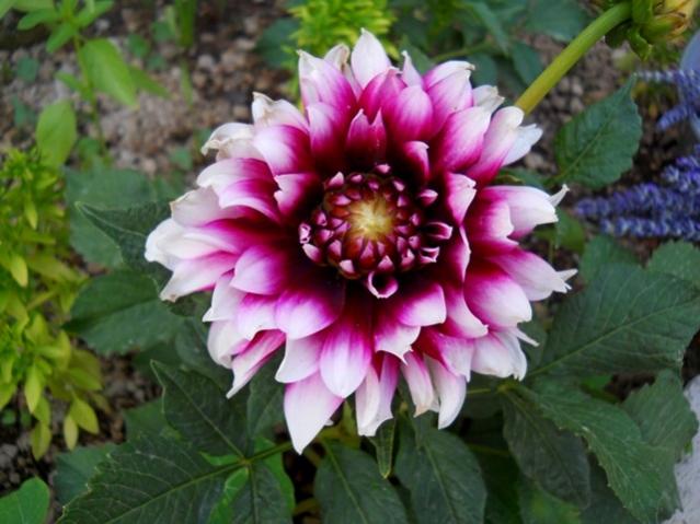 Name:  DSCN1327.jpg
Views: 873
Size:  46.6 KB
