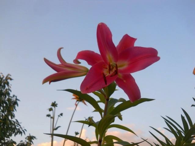 Name:  DSCN1392.jpg
Views: 893
Size:  28.6 KB