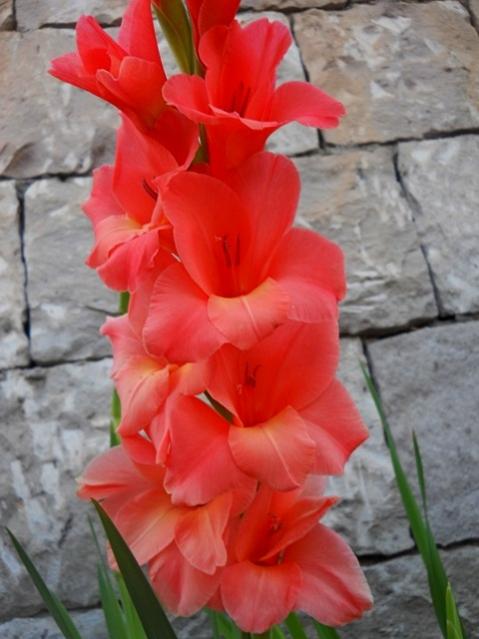 Name:  DSCN1404.jpg
Views: 855
Size:  39.8 KB