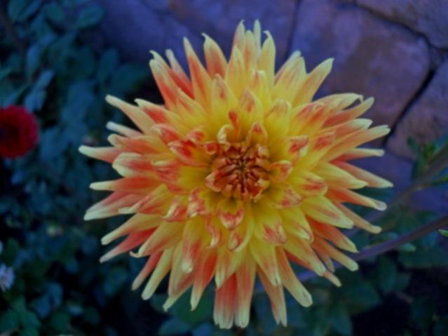 Name:  DSCN1480.jpg
Views: 1056
Size:  33.3 KB