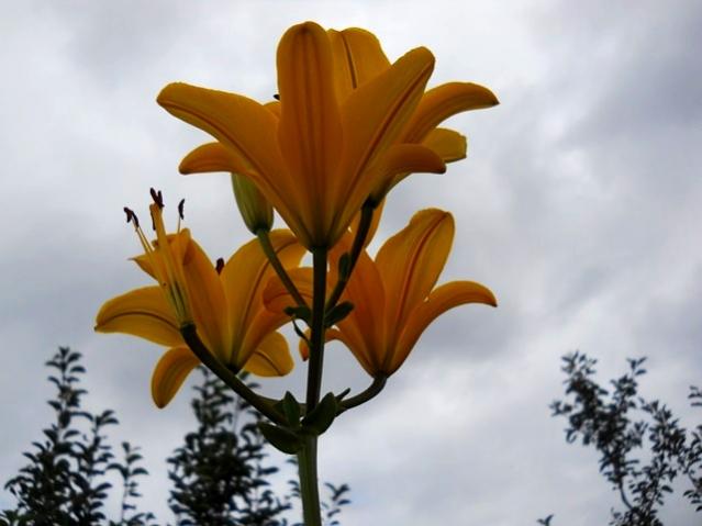 Name:  DSCN1549.jpg
Views: 972
Size:  32.3 KB