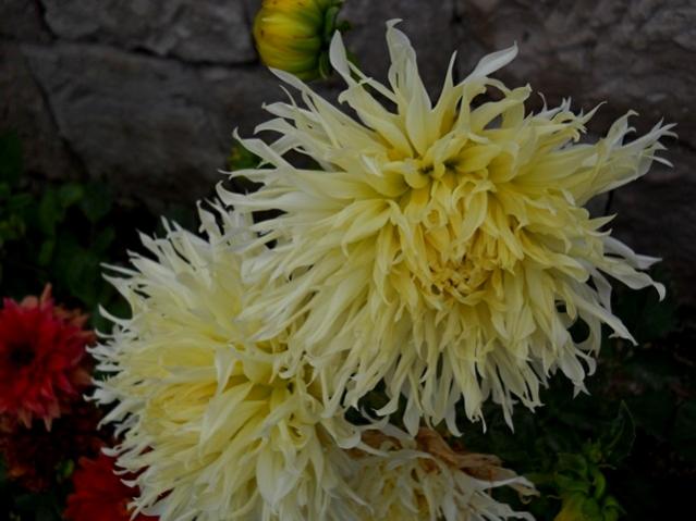 Name:  DSCN1550.jpg
Views: 960
Size:  40.5 KB