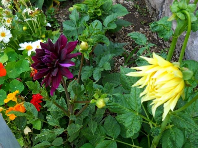 Name:  DSCN1552.jpg
Views: 1023
Size:  66.9 KB