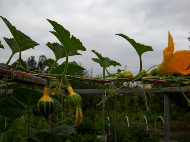 Name:  DSCN1561.jpg
Views: 971
Size:  37.6 KB