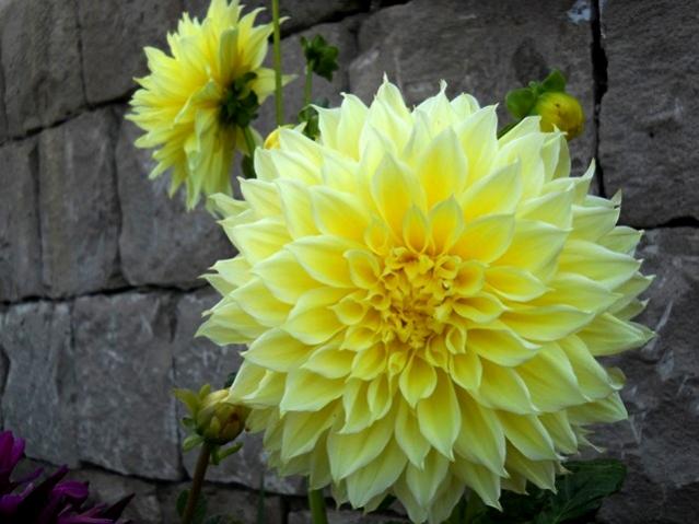 Name:  DSCN1763.jpg
Views: 704
Size:  43.4 KB