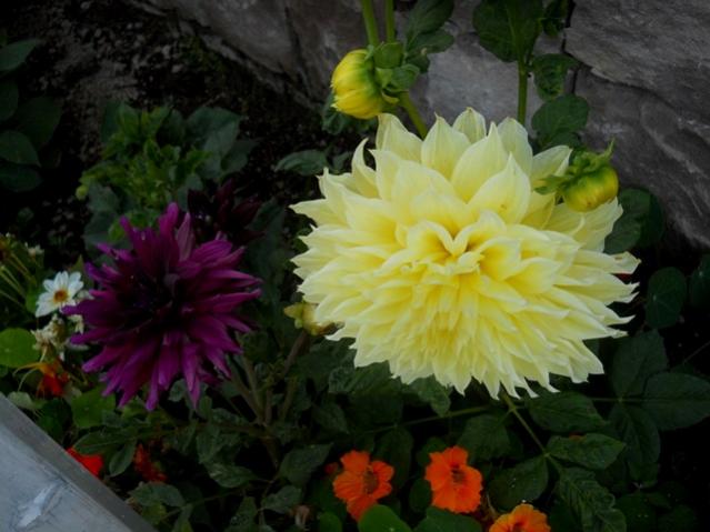 Name:  DSCN1760.jpg
Views: 716
Size:  40.5 KB