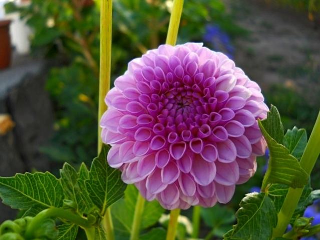 Name:  DSCN1902.jpg
Views: 837
Size:  42.5 KB