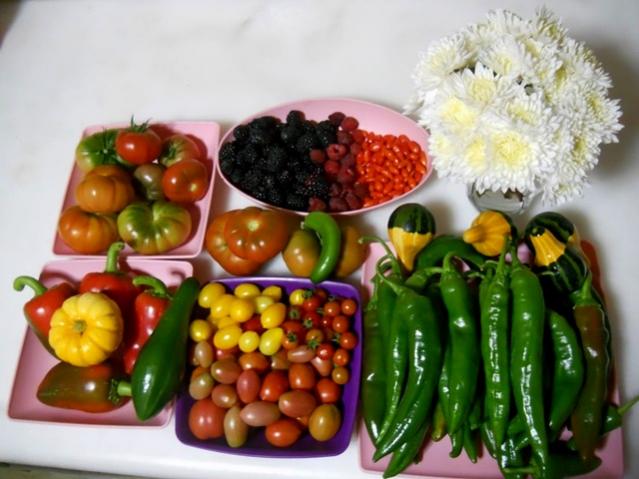 Name:  DSCN3612.jpg
Views: 817
Size:  45.8 KB