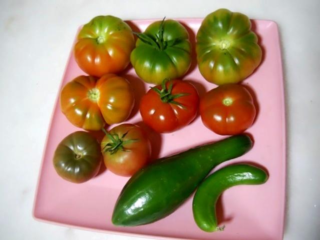 Name:  DSCN3606.jpg
Views: 807
Size:  30.4 KB