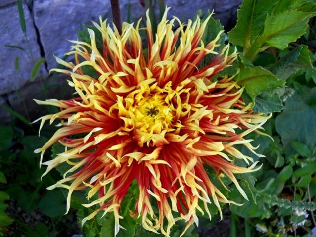 Name:  DSCN2158.jpg
Views: 682
Size:  65.8 KB