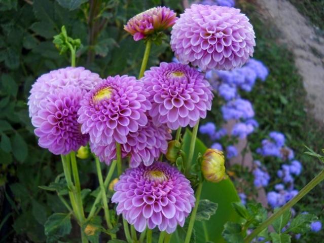 Name:  DSCN2204.jpg
Views: 689
Size:  50.9 KB