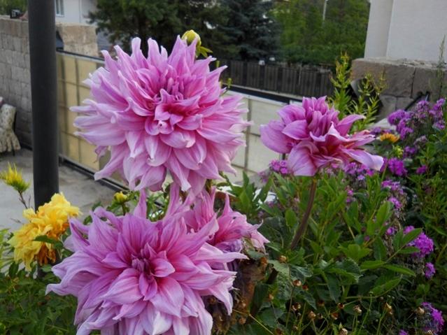 Name:  DSCN2630.jpg
Views: 768
Size:  58.9 KB