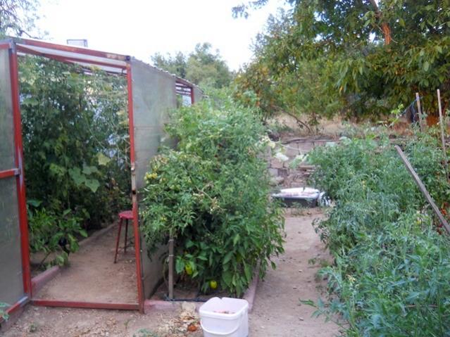 Name:  DSCN2885.jpg
Views: 1292
Size:  64.1 KB