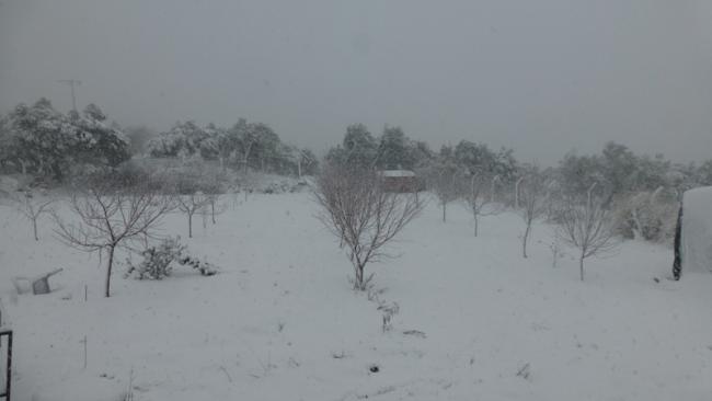 Name:  002.jpg
Views: 611
Size:  17.0 KB