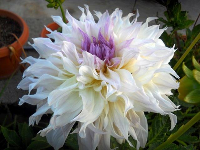 Name:  DSCN3053.jpg
Views: 1083
Size:  41.8 KB