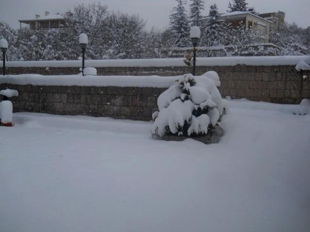 Name:  DSCN3890.jpg
Views: 980
Size:  30.4 KB